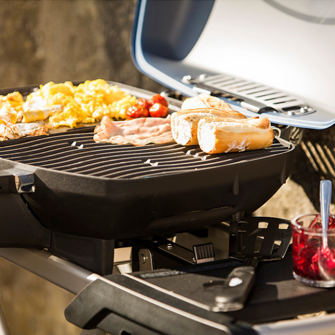 Napoleon TravelQ™ 285X